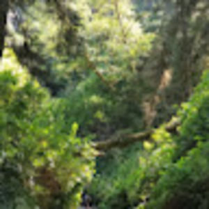 Meet your Posher, Ruth